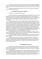 Asistavimo praktika darželyje 2 puslapis