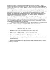 Asistavimo praktika darželyje 4 puslapis