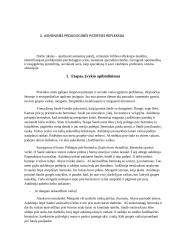 Asistavimo praktika darželyje 5 puslapis