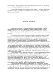 Asistavimo praktika darželyje 7 puslapis