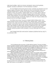 Asistavimo praktika darželyje 9 puslapis