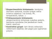 Tiriamojo darbo etapai su paaiškinimais 6 puslapis