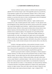 Įvaikinimo proceso etinės problemos 4 puslapis