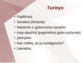 Grybų dauginimas 2 puslapis