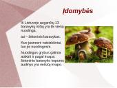 Grybų dauginimas 12 puslapis