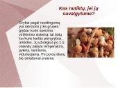 Grybų dauginimas 14 puslapis