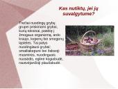 Grybų dauginimas 16 puslapis