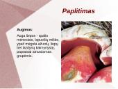 Grybų dauginimas 3 puslapis