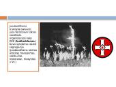 Amerikos šalys 12 puslapis