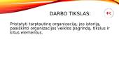 Tarptautinis Raudonojo Kryžiaus ir Raudonojo Pusmėnulio Judėjimas 2 puslapis