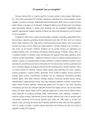 ES tapatybė: kas yra europietis? 2 puslapis