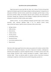 Turizmo klasifikavimas. Sporto turizmas 3 puslapis