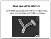 Medicinos darbas apie Salmoneliozę 2 puslapis
