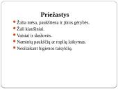 Medicinos darbas apie Salmoneliozę 3 puslapis