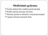 Medicinos darbas apie Salmoneliozę 7 puslapis