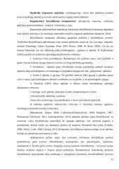 4 – 5 metų amžiaus vaikų kūrybiškumo ugdymo galimybės muzikinėje veikloje 12 puslapis