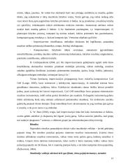 4 – 5 metų amžiaus vaikų kūrybiškumo ugdymo galimybės muzikinėje veikloje 19 puslapis