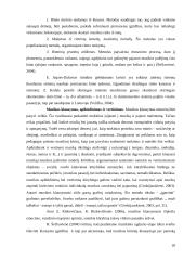 4 – 5 metų amžiaus vaikų kūrybiškumo ugdymo galimybės muzikinėje veikloje 20 puslapis