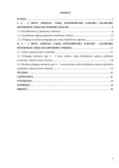 4 – 5 metų amžiaus vaikų kūrybiškumo ugdymo galimybės muzikinėje veikloje 4 puslapis