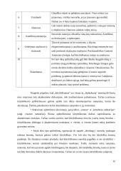 4 – 5 metų amžiaus vaikų kūrybiškumo ugdymo galimybės muzikinėje veikloje 10 puslapis