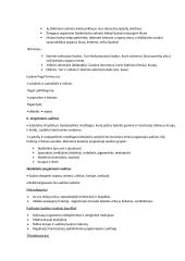 Audiniai, kokie yra, skirstymas, specializacija, funkcijos 3 puslapis