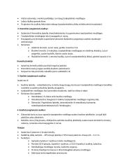 Audiniai, kokie yra, skirstymas, specializacija, funkcijos 5 puslapis