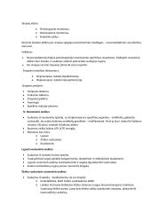 Audiniai, kokie yra, skirstymas, specializacija, funkcijos 8 puslapis