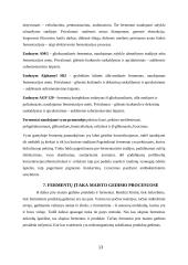 Fermentai maisto pramonėje, klasifikavimas ir įtaka technologiniams prosesams 13 puslapis