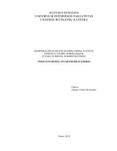 Verslo planas "3D pasivažinėjimas"