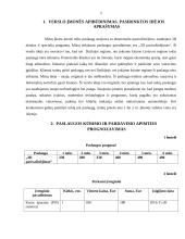 Verslo planas "3D pasivažinėjimas" 2 puslapis