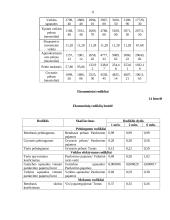 Verslo planas "3D pasivažinėjimas" 11 puslapis
