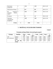 Verslo planas "3D pasivažinėjimas" 3 puslapis