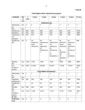 Verslo planas "3D pasivažinėjimas" 6 puslapis