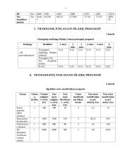 Verslo planas "3D pasivažinėjimas" 7 puslapis