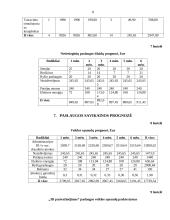 Verslo planas "3D pasivažinėjimas" 8 puslapis