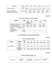 Verslo planas "3D pasivažinėjimas" 9 puslapis