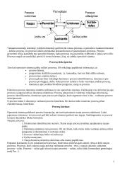 Procesai. Konspektas 2 puslapis