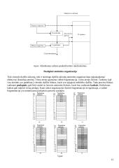 Procesai. Konspektas 13 puslapis