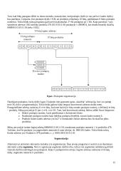 Procesai. Konspektas 15 puslapis