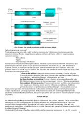 Procesai. Konspektas 4 puslapis