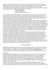 Procesai. Konspektas 7 puslapis