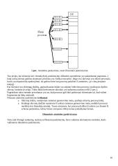 Procesai. Konspektas 10 puslapis