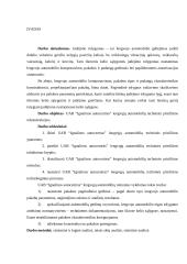 UAB "Ignalinos autoservisas" veiklos analizė 2 puslapis