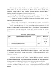 UAB "Ignalinos autoservisas" veiklos analizė 12 puslapis