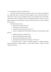 UAB "Ignalinos autoservisas" veiklos analizė 4 puslapis