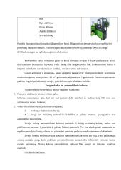 UAB "Ignalinos autoservisas" veiklos analizė 10 puslapis