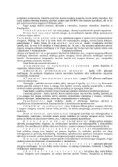 Nervinio audinio detalus aprašymas 2 puslapis