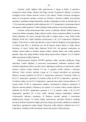 Varškės sūrių gamyba 10 puslapis