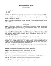 Lietuvių kalba - konspektas