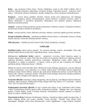 Lietuvių kalba - konspektas 2 puslapis